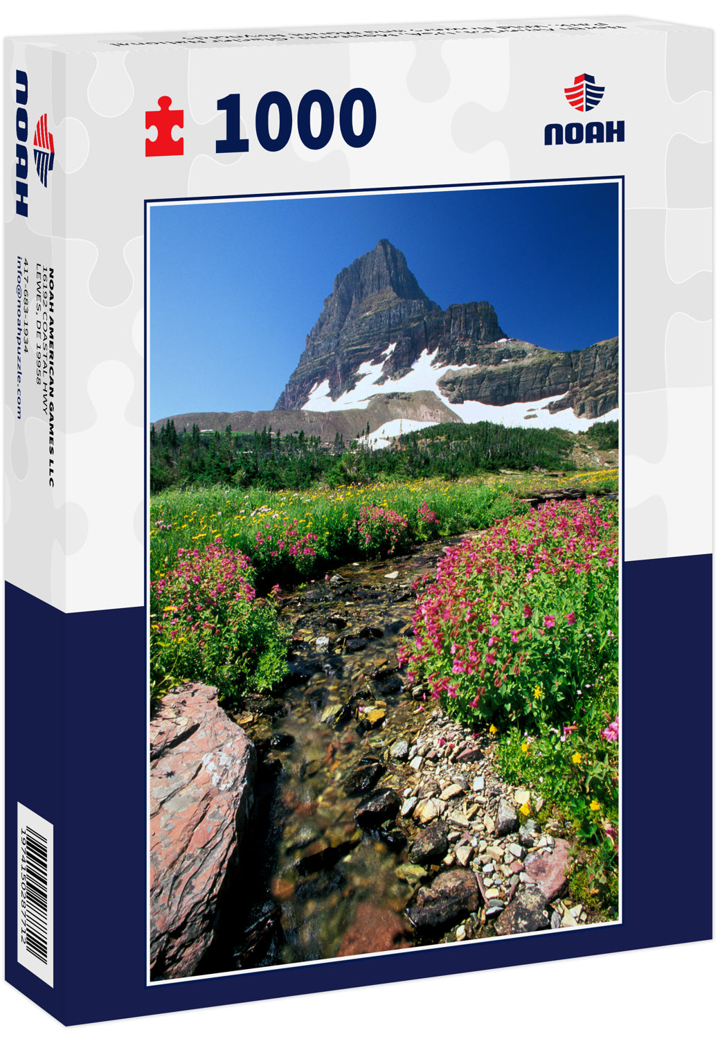 North America, USA, Montana, Glacier National Park. Wild flowers and Mount Reynolds