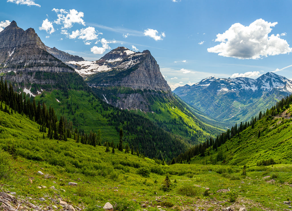 Sunny panorama in Glacier national park, Montana