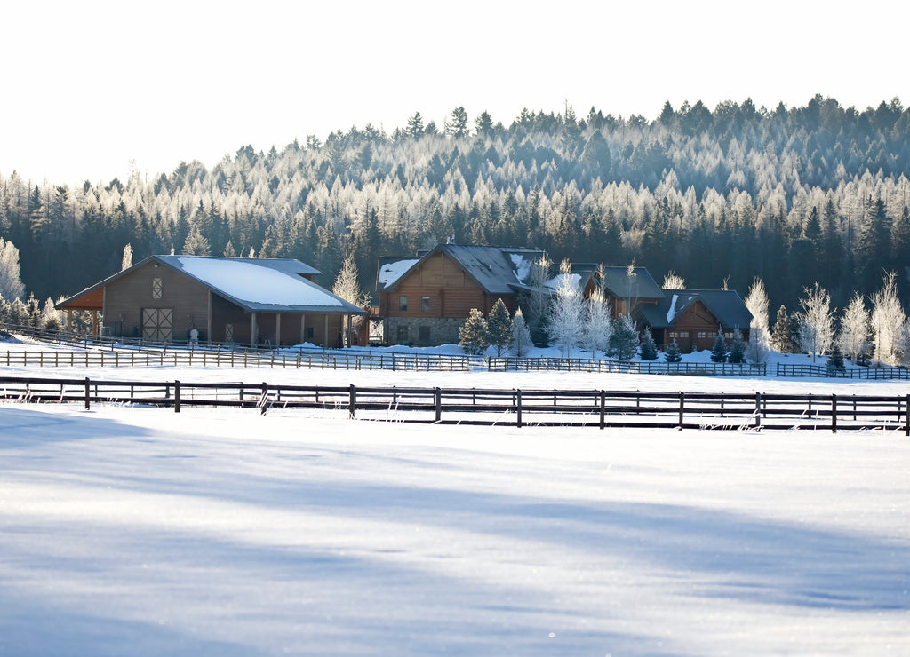 Country homestead with white frozen trees in winter on a cold morning in Montana, USA