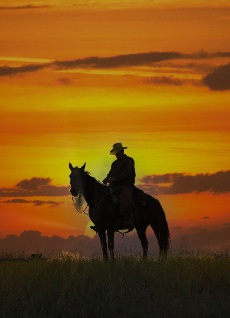 Cowboy on horseback silhouette, Montana