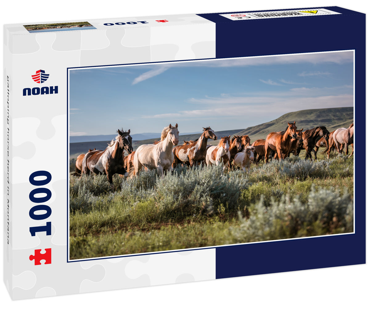 galloping horse herd in Montana