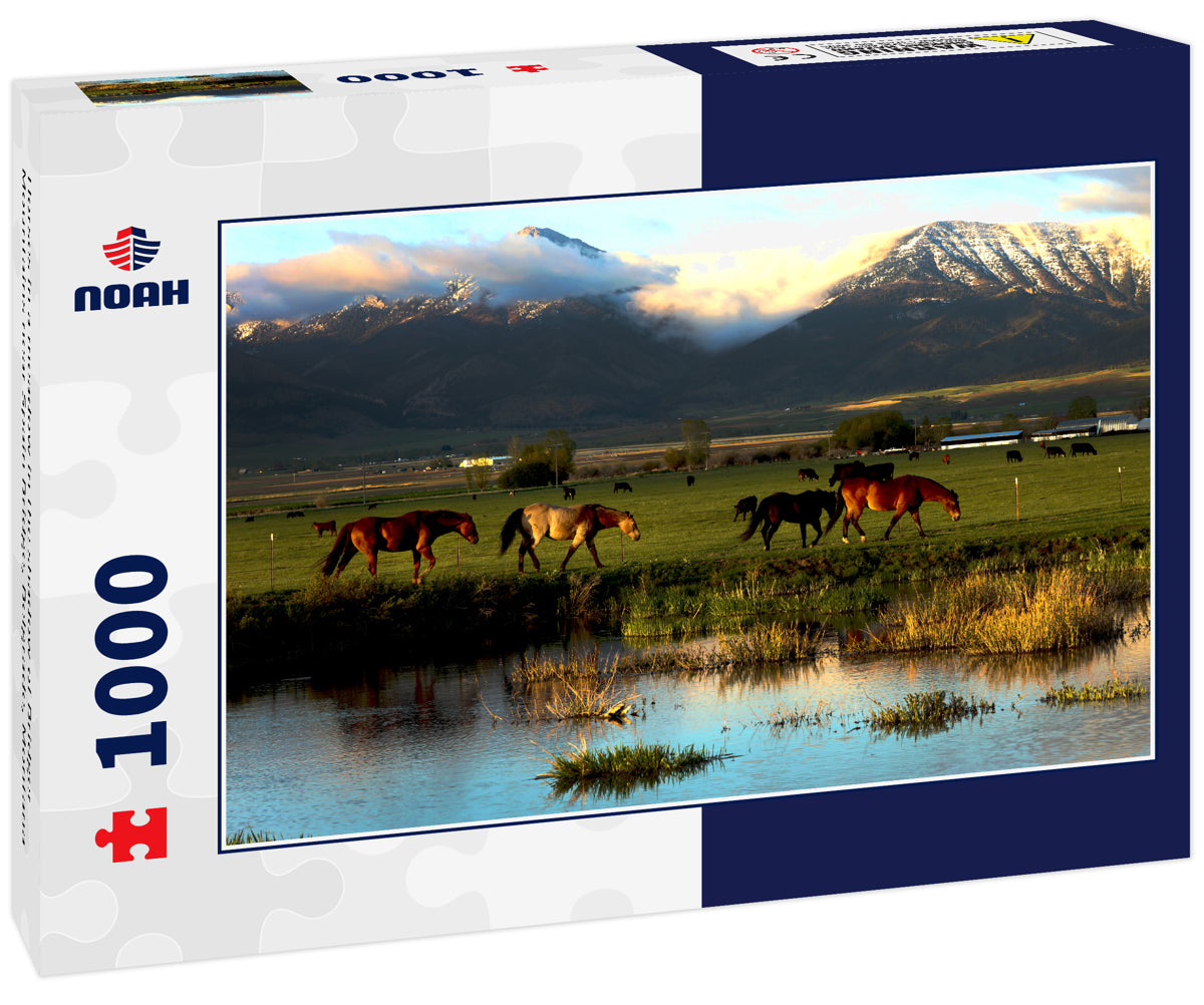 Horses in a meadow in the shadow of Bridger Mountains near Spain Bridge, Belgrade, Montana