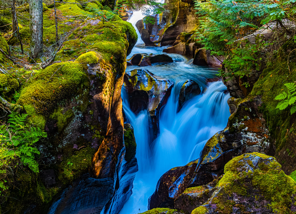 Avalanche Creek Flowing Through Avalanche Gorge in McDonald Valley, Glacier National Park, Montana