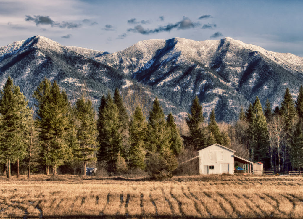 Great State of Montana