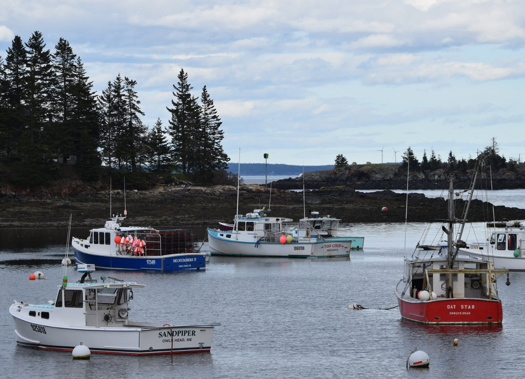 Lobster Boat Harbor on penobscot bay in Maine