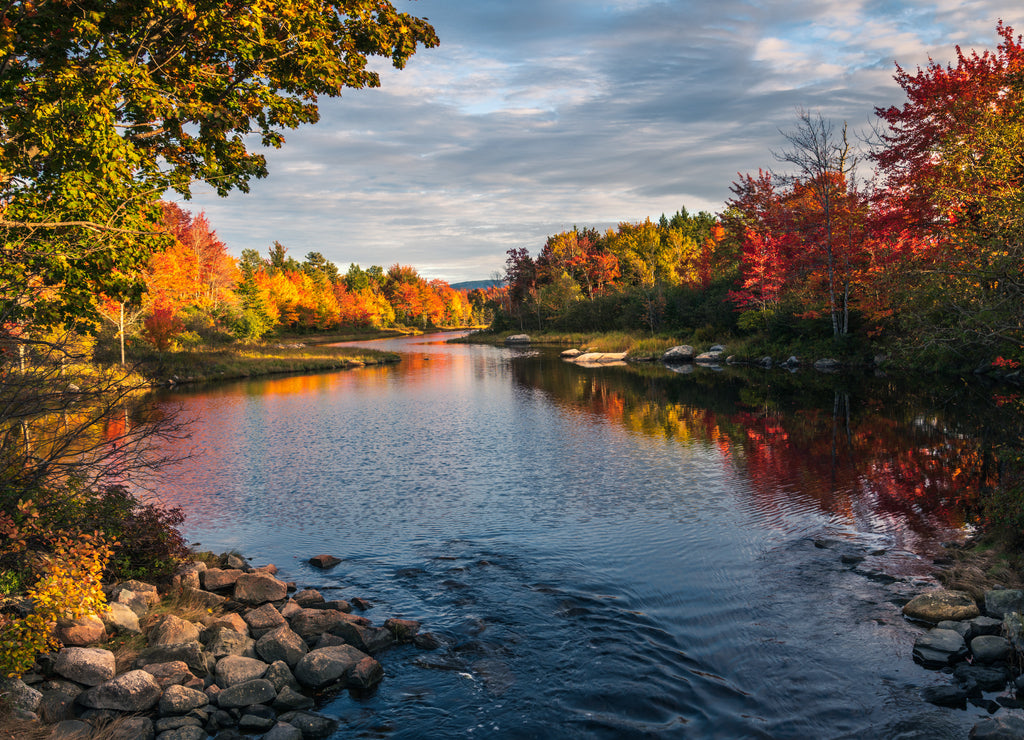 Autumn in Acadia National Park, Maine, USA