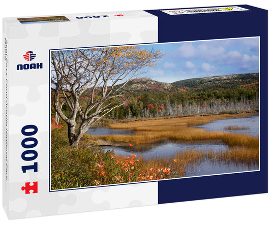 Seal Cove Pond Acadia National Park Maine