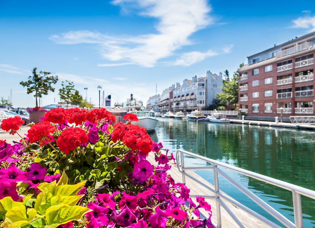 Condos on Portland, Maine, waterfront on a sunny summer afternoon