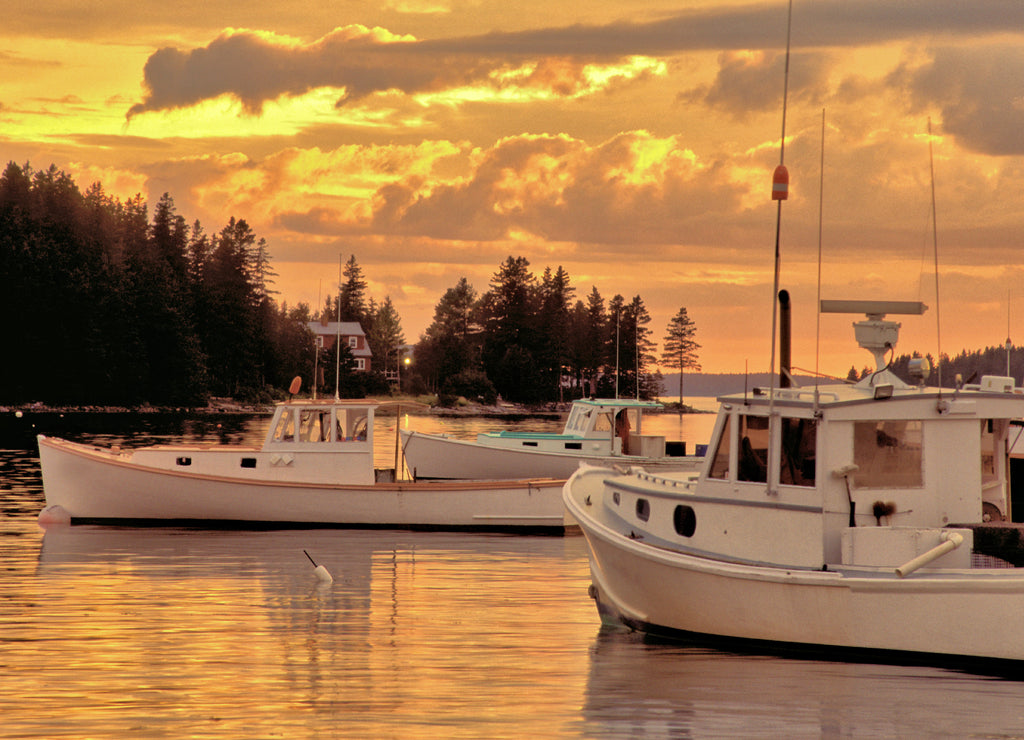  Lobster boats anchored in quiet cove near Spruce Head Island, Maine