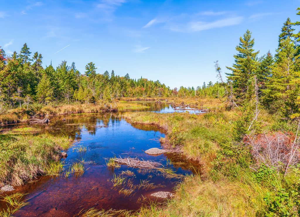 Mansell Brook in autumn.Piscataquis County, Maine, USA