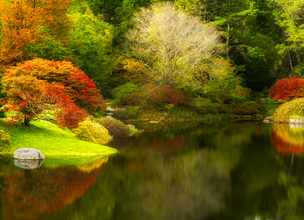 Botanical Garden in Northeast Harbor, Maine