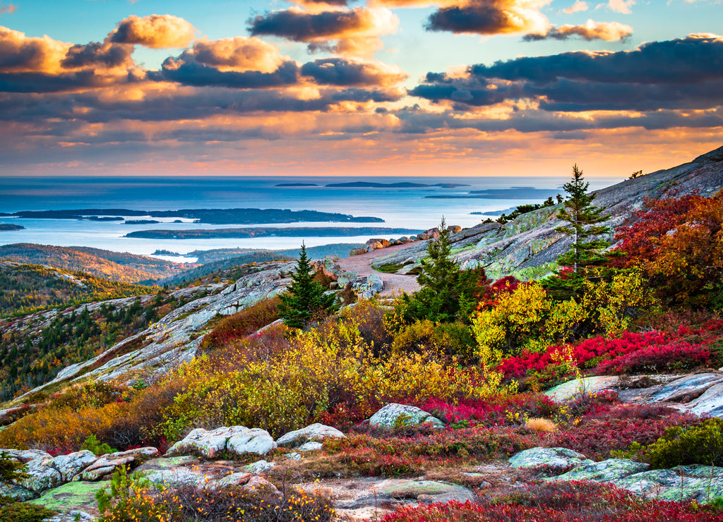 Cadillac Mountain in Fall, Acadia National Park, Maine