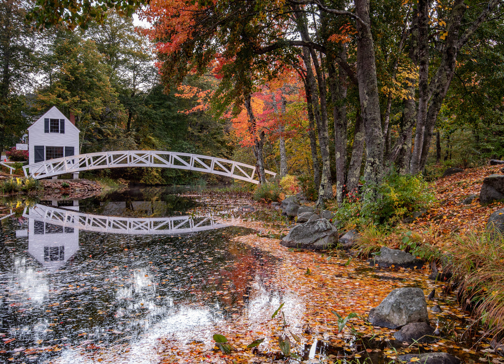 Autumn in Acadia National Park, Maine