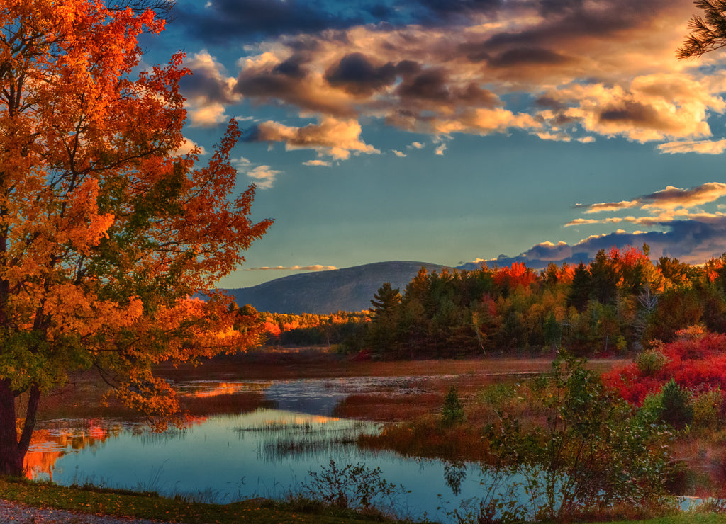 October afternoon, Acadia National park, Maine