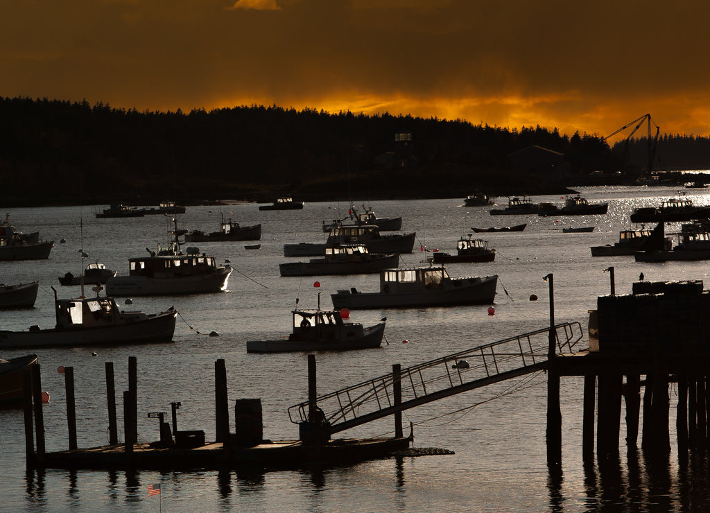 Lobster boats at anchor in Stonington Maine 