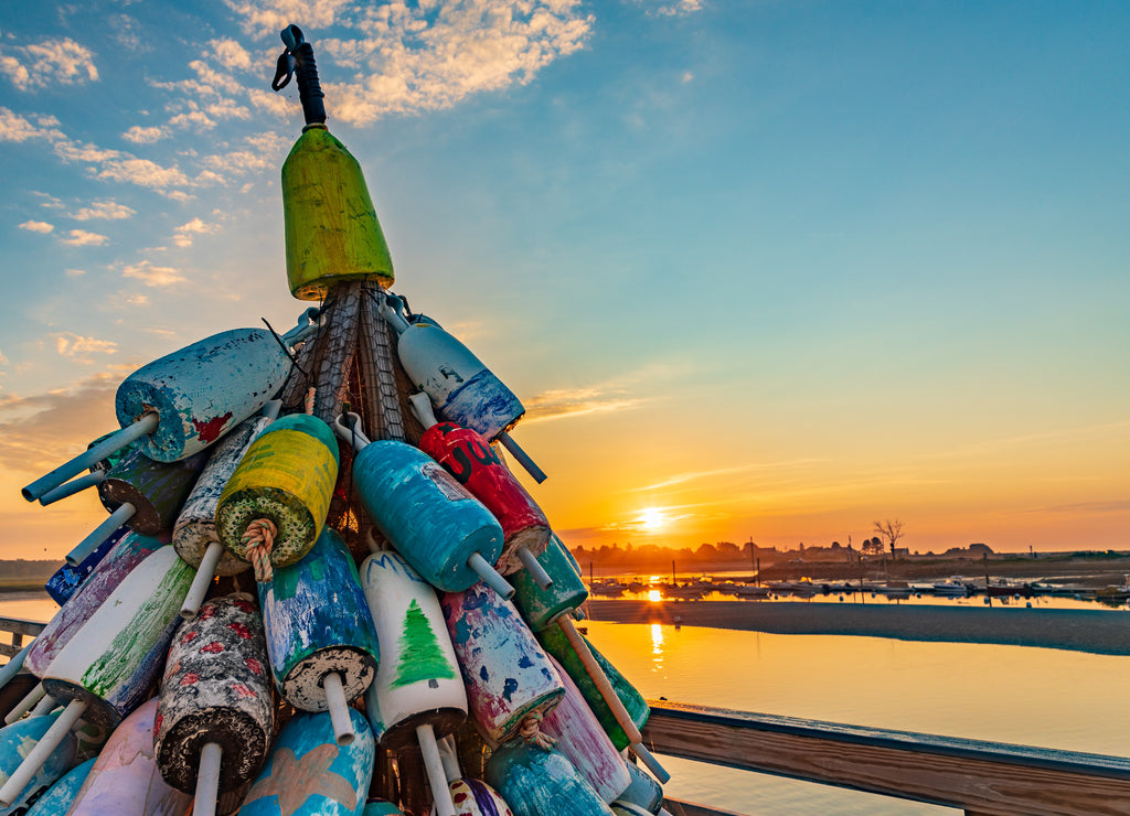 Fisherman's Buoy Tree, Wells harbor Maine