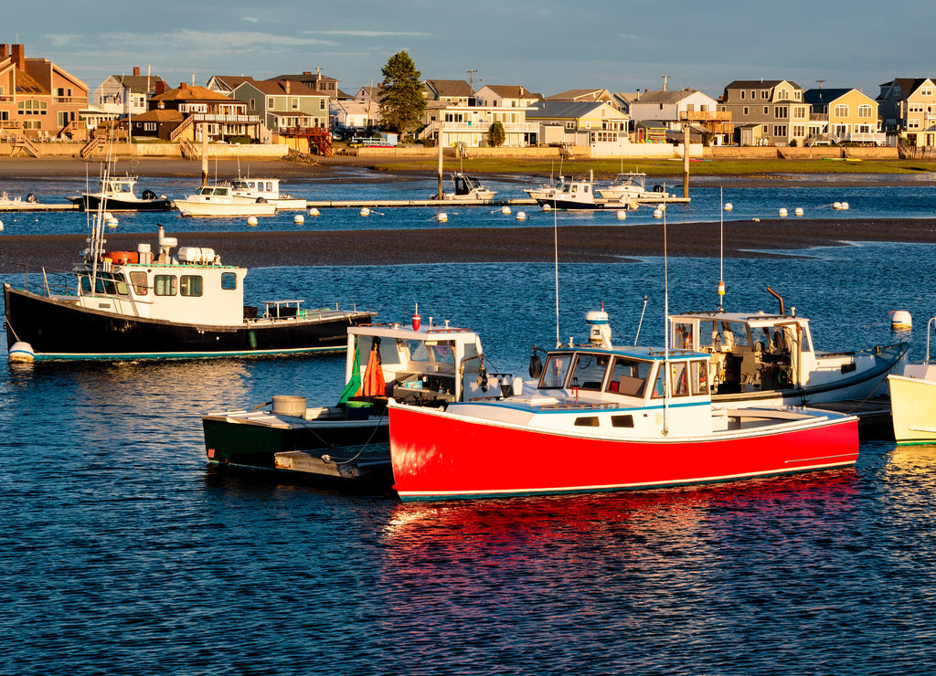 Lobster Fleet, Wells Harbor Maine