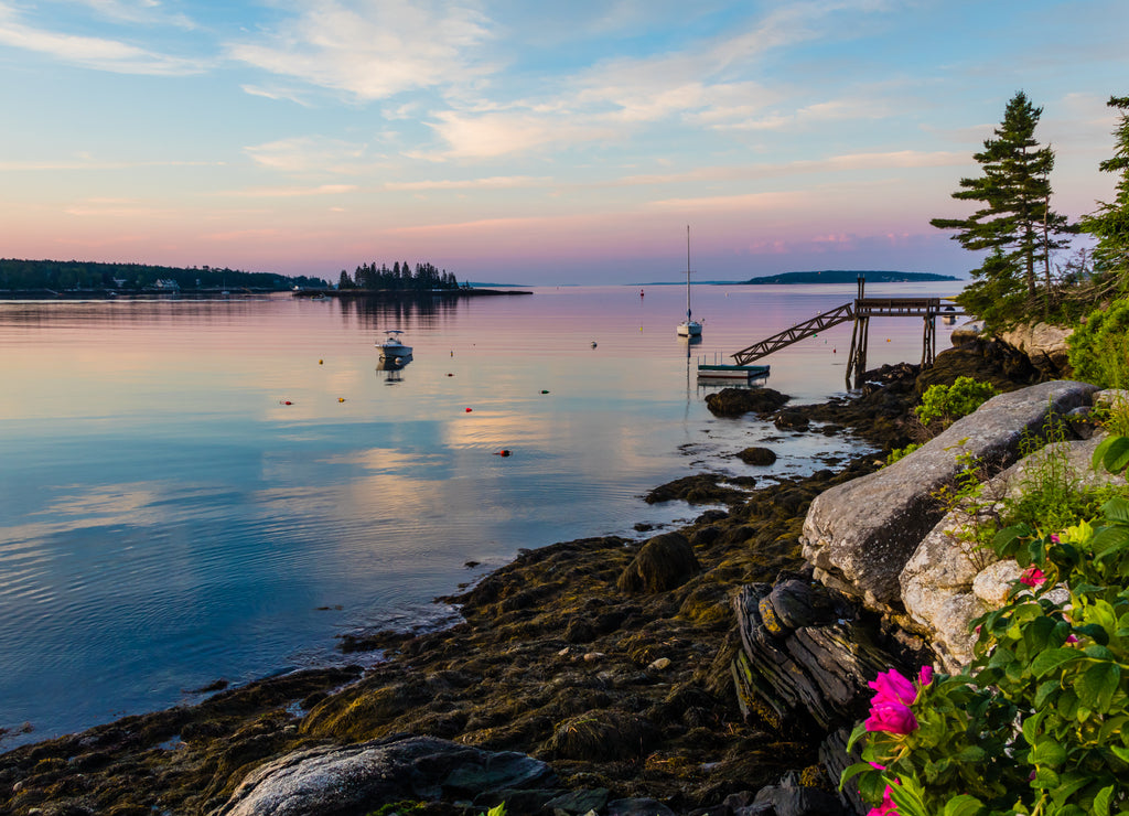 Boothbay Harbor Marina at sunrise in soft beautiful quiet light on Independence Day, Maine USA