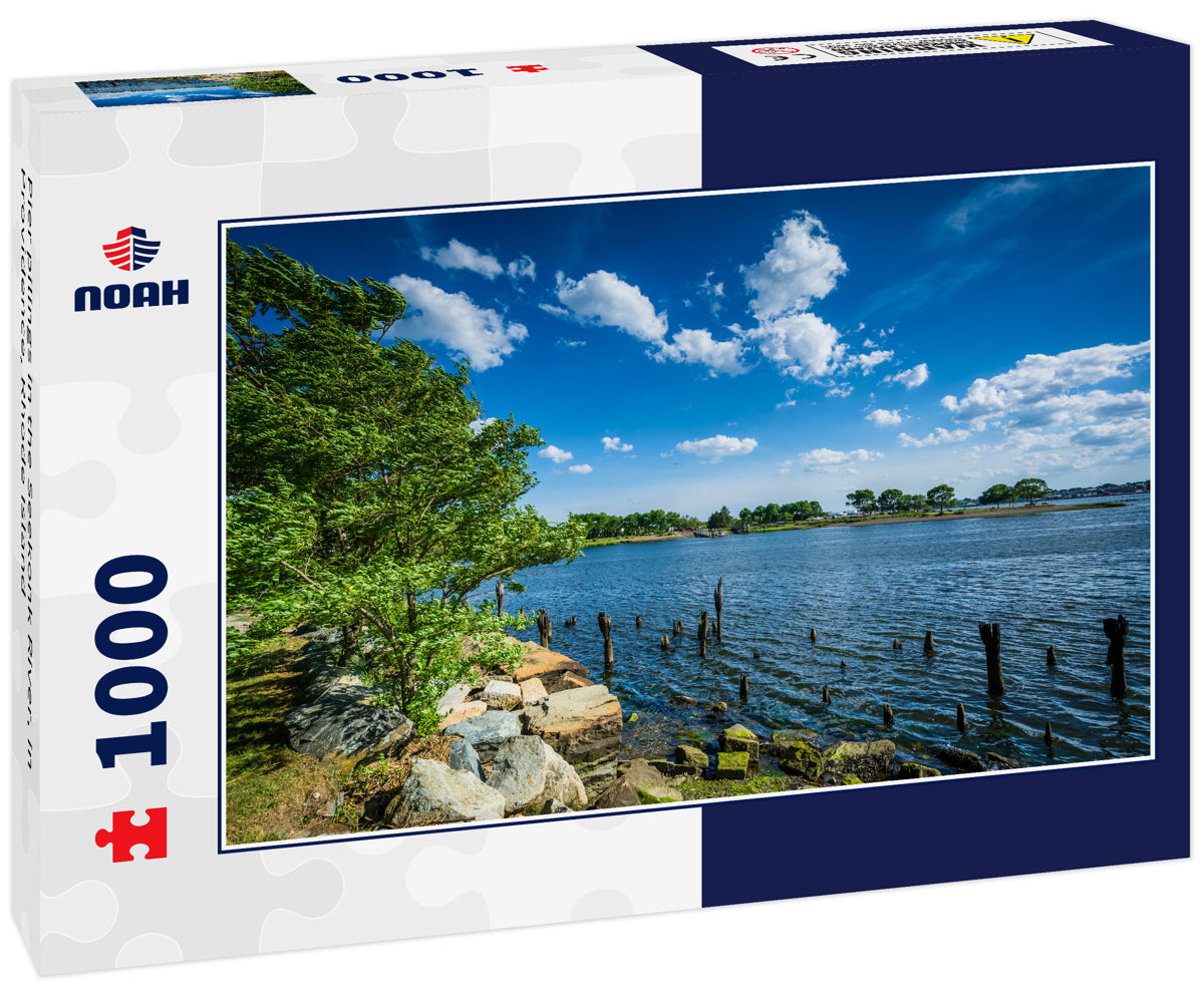 Pier pilings in the Seekonk River, in Providence, Rhode Island