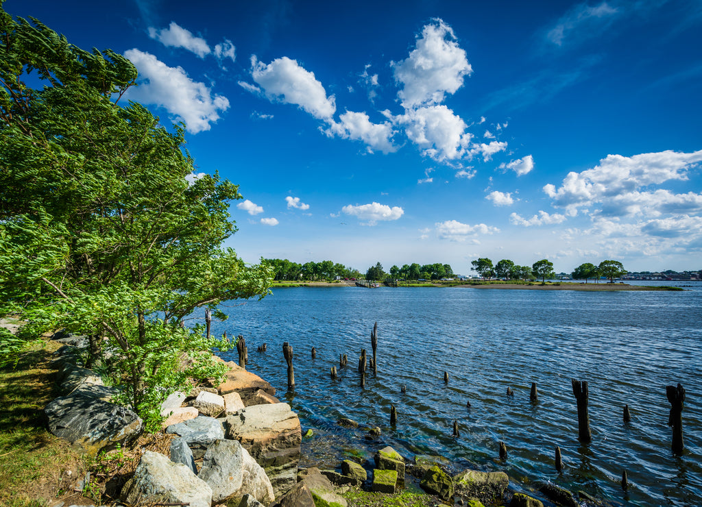 Pier pilings in the Seekonk River, in Providence, Rhode Island