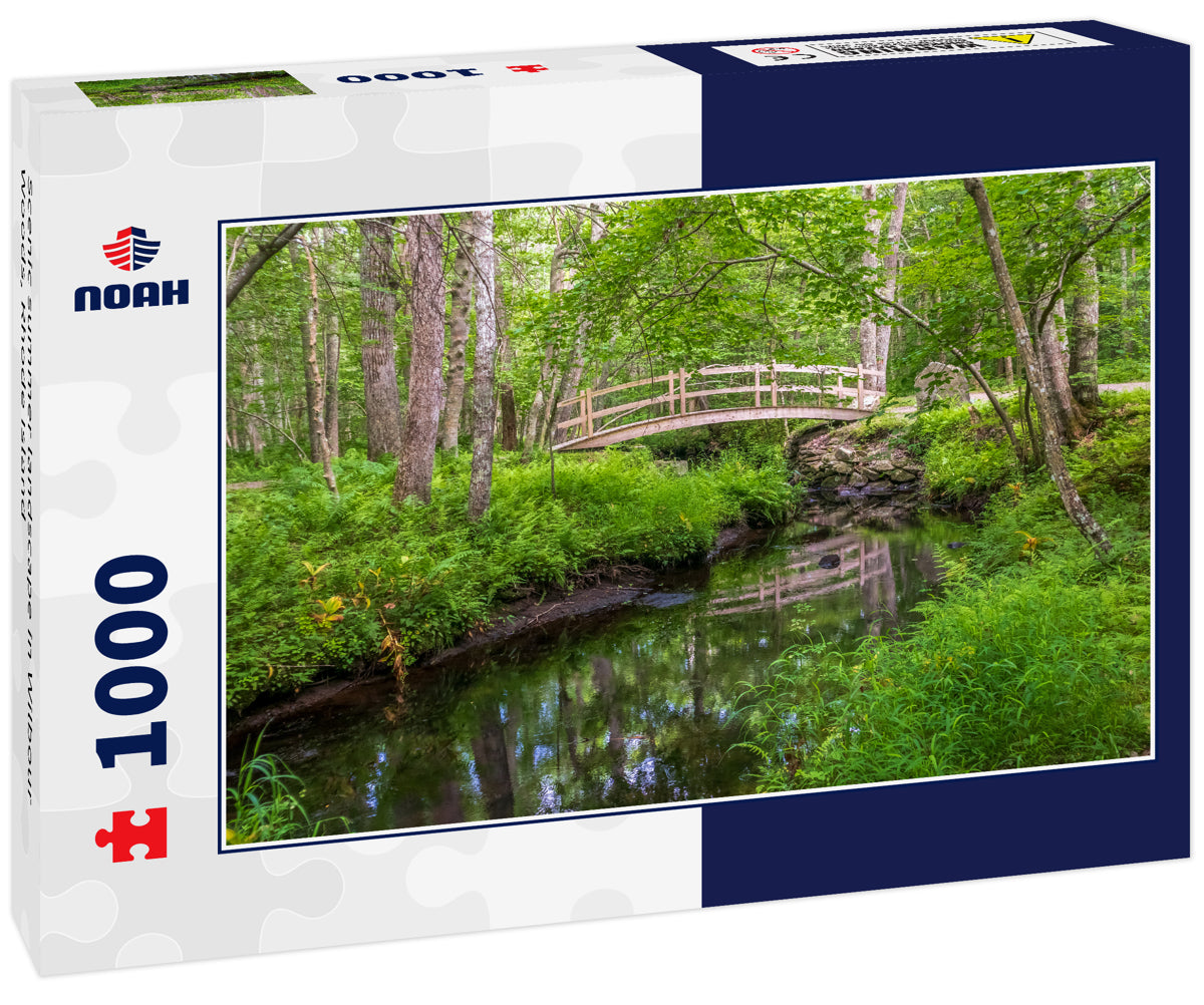 Scenic summer landscape in Wilbour Woods, Rhode Island