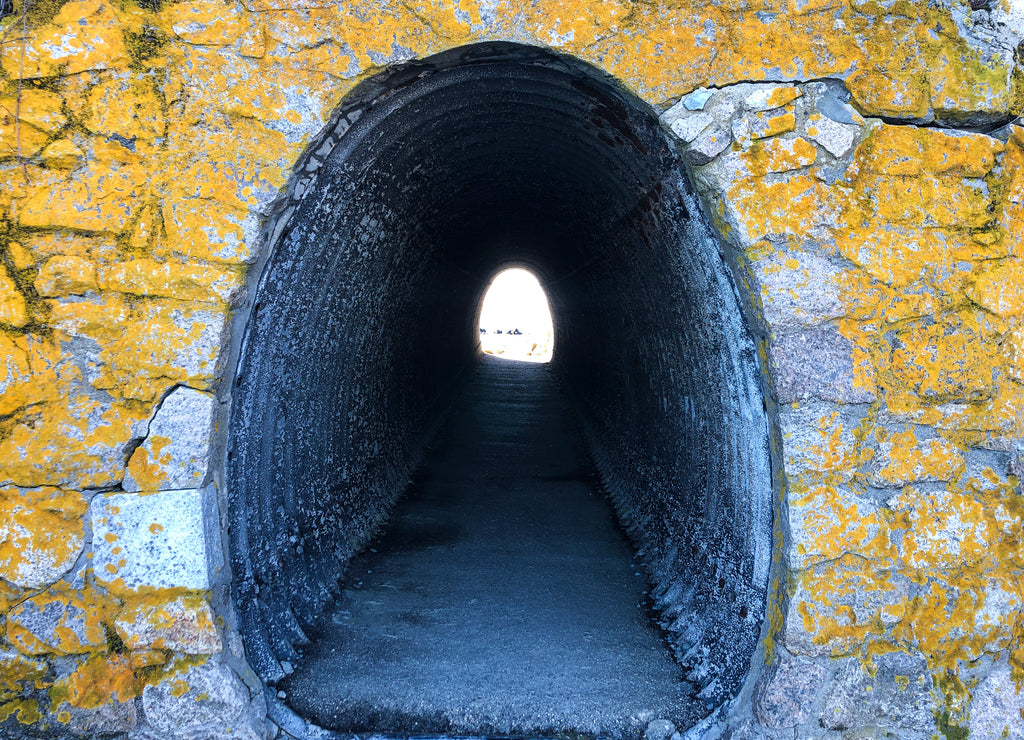 A Tunnel Along the Newport Rhode Island Cliff Walk