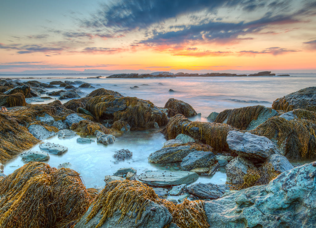 Sunrise at Sachuest Wildlife Refuge Rhode Island