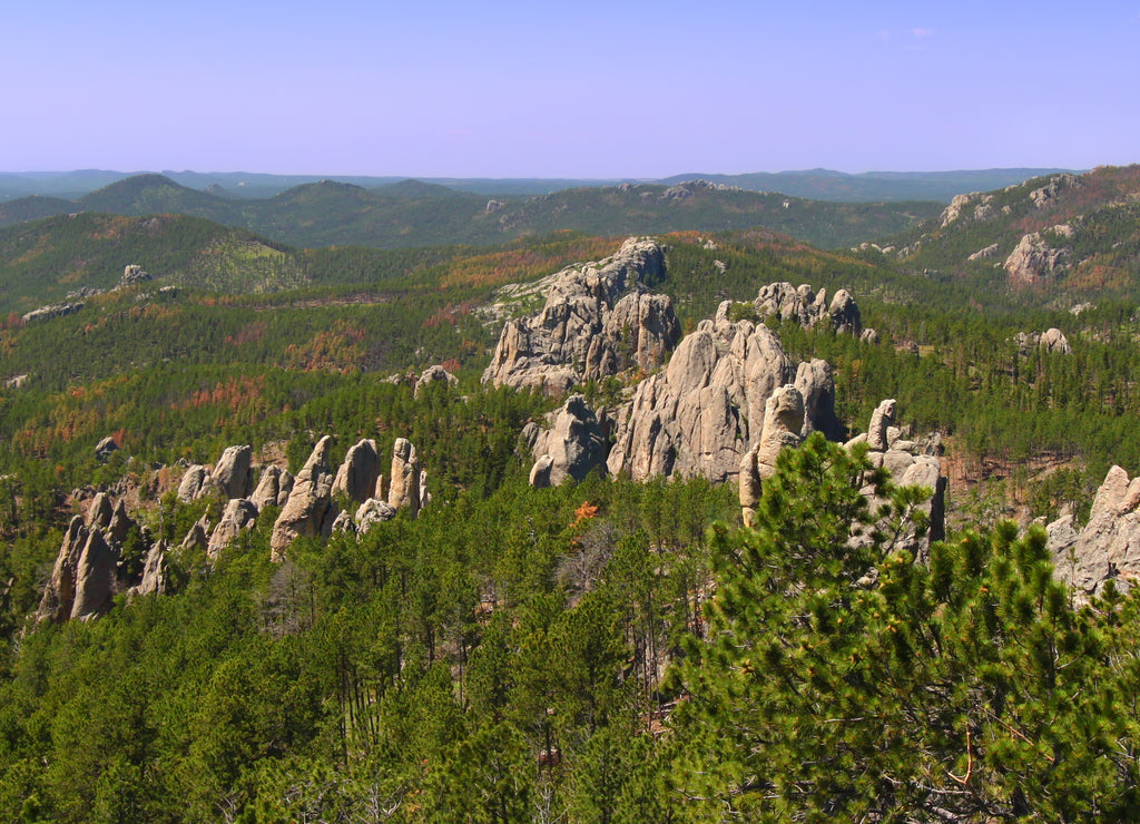 Needles Rock Formations, South Dakota