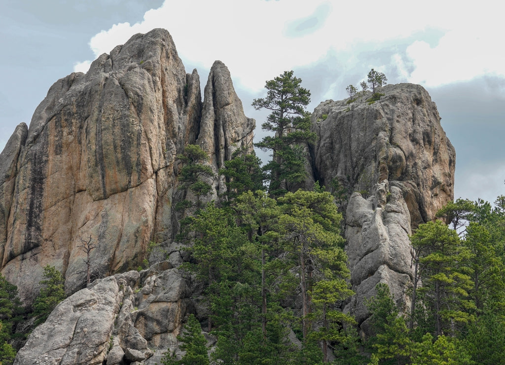 Needles in the Black Hills, South Dakota