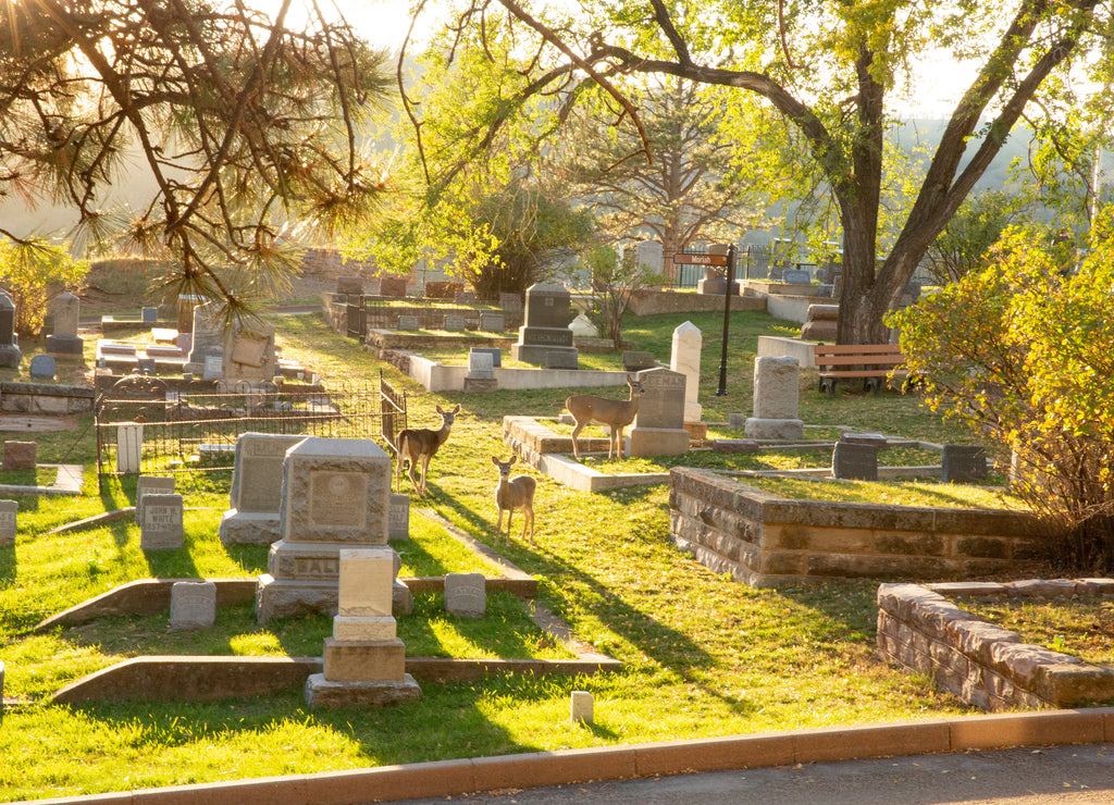 Deadwood Cemetery of South Dakota called Mt. Moriah