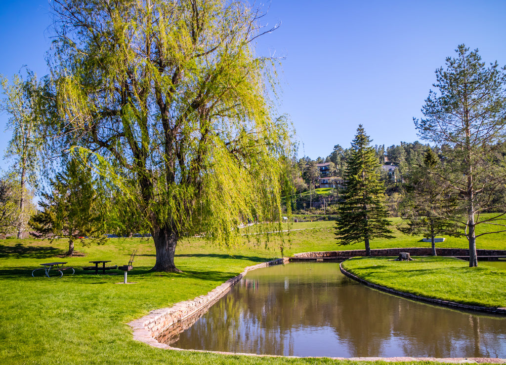 An overlooking view of nature in Rapid City, South Dakota