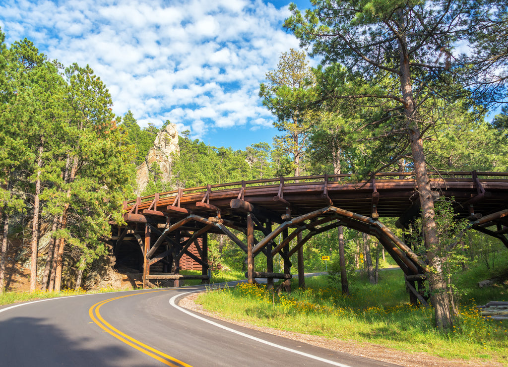 Bridge in Custer State Park in South Dakota