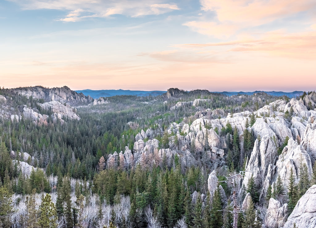The Black Hills of South Dakota