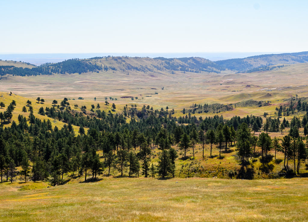 Wind Cave National Park