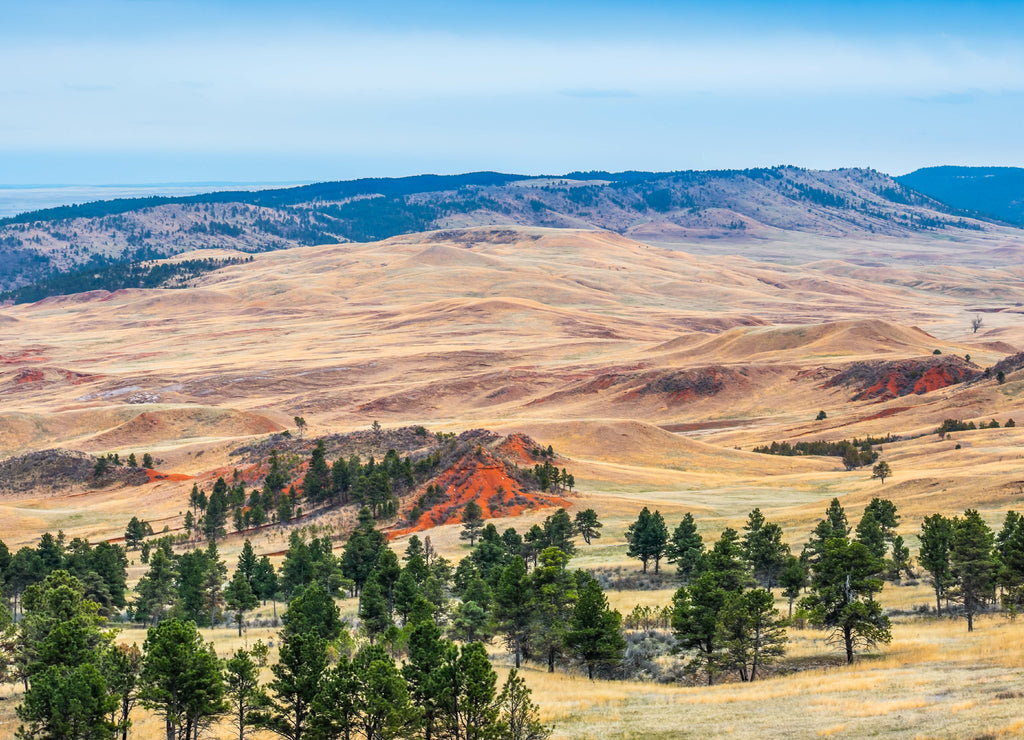 A beautiful overlooking view of nature in Wind Cave National Park, South Dakota