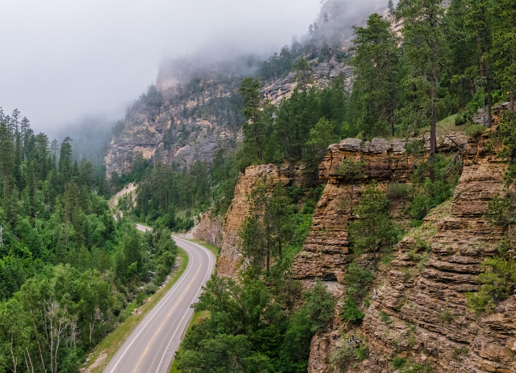 Fog in the morning on Spearfish Canyon Scenic Byway, South Dakota Black Hills