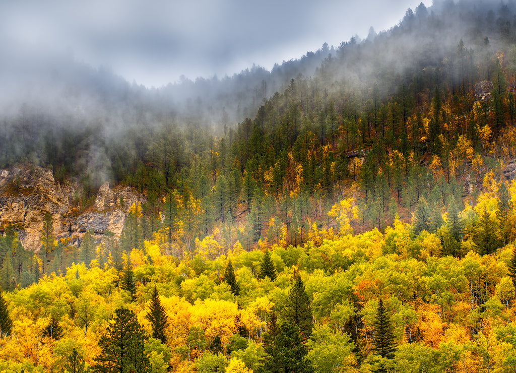 Spearfish Canyon, South Dakota