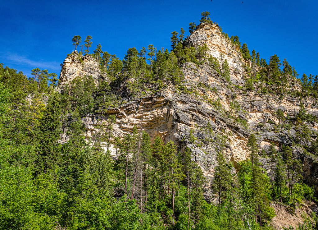 Limestone cliffs in Spearfish Canyon, South Dakota