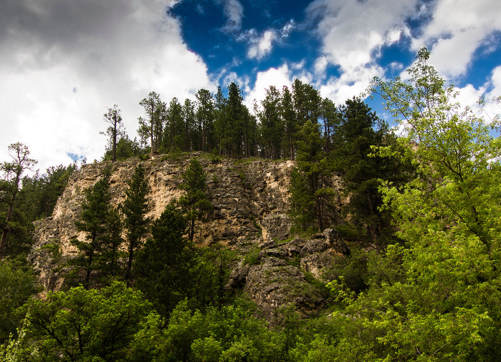 Spearfish Canyon in Summer, South Dakota