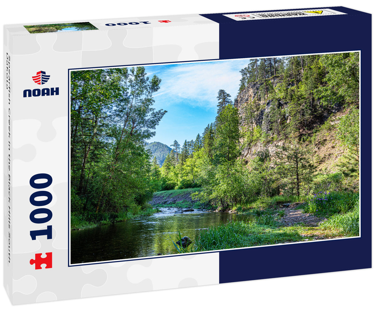 Spearfish Creek in the Black Hills South Dakota