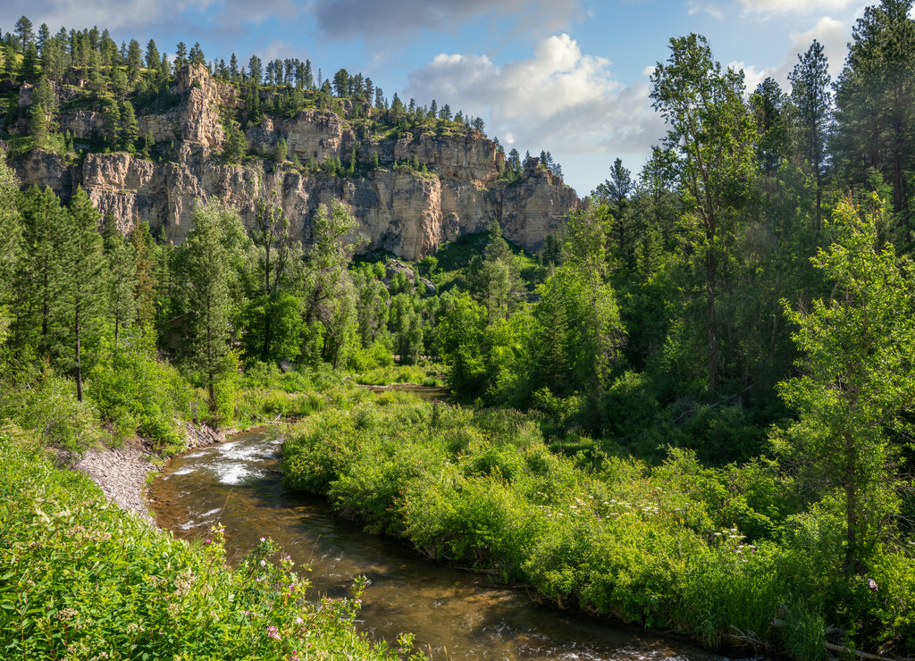 Spearfish Canyon Scenic Byway, South Dakota Black Hills