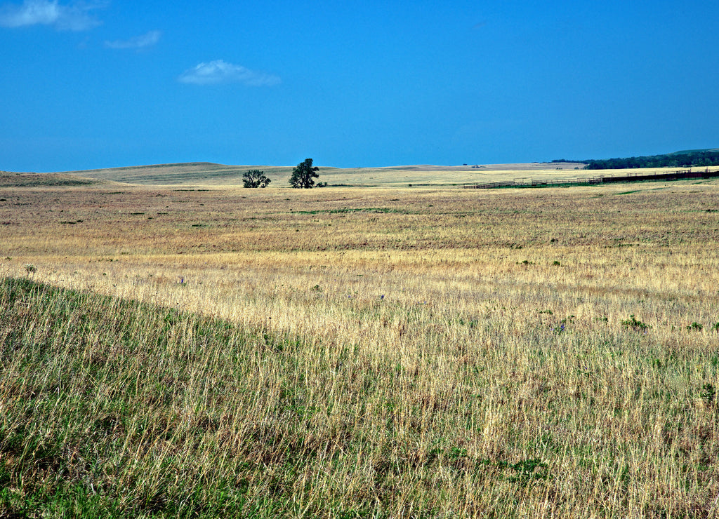 Strong City, Kansas: The National Tallgrass Prairie preserve in Chase County, Kansas