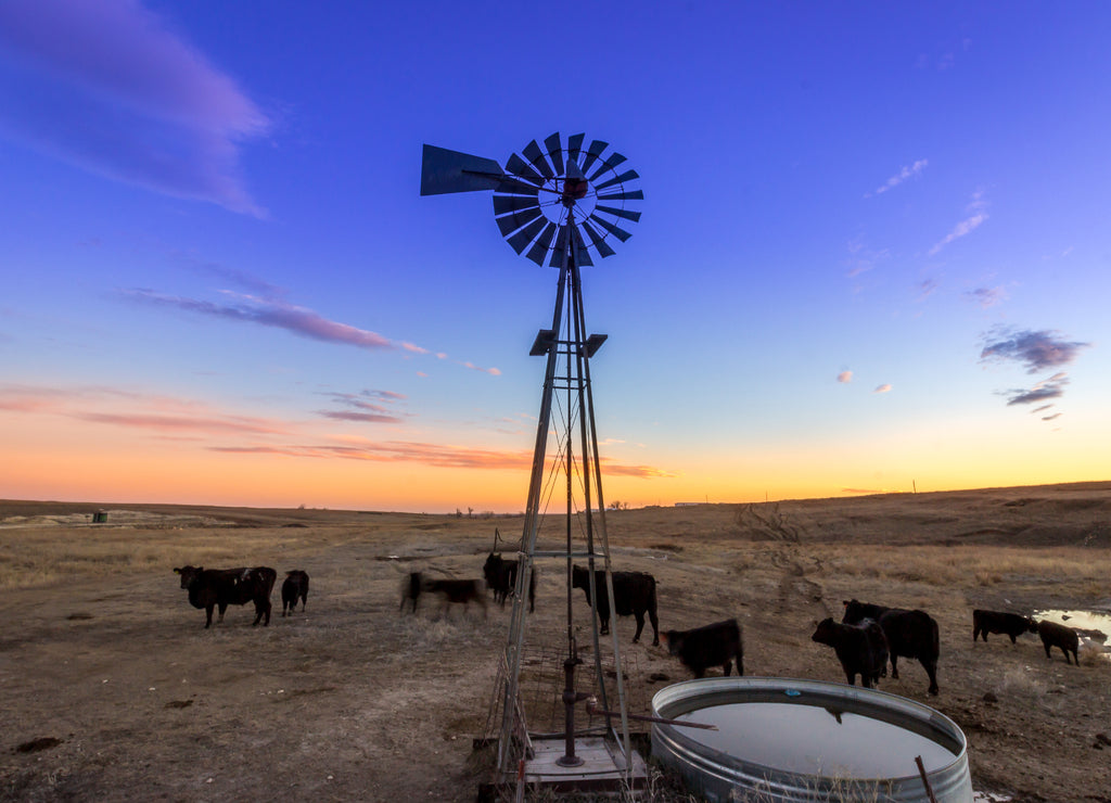 Ellis County, Kansas USA Traditional Wind Mill on a Midwestern Cattle Farm at Sunset