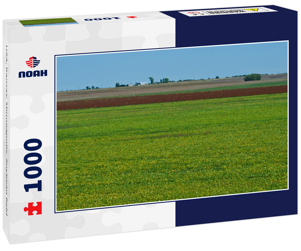 USA, Kansas, Minneapolis. Soybean field