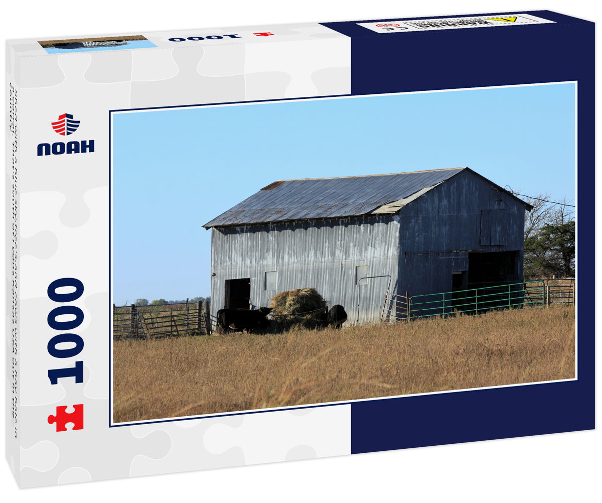 Shed with a blue sky,tree's,and cows with a hay bale in a corral. That's south of Lyons Kansas USA out in the country
