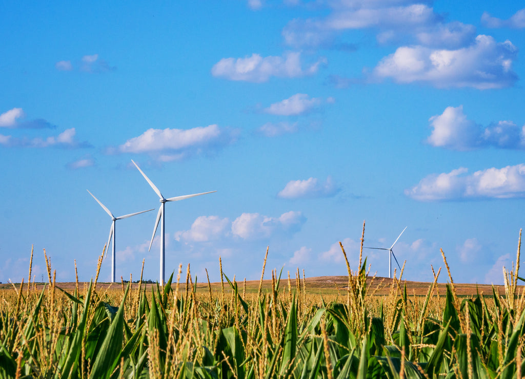 Kansas Corn Field Energy