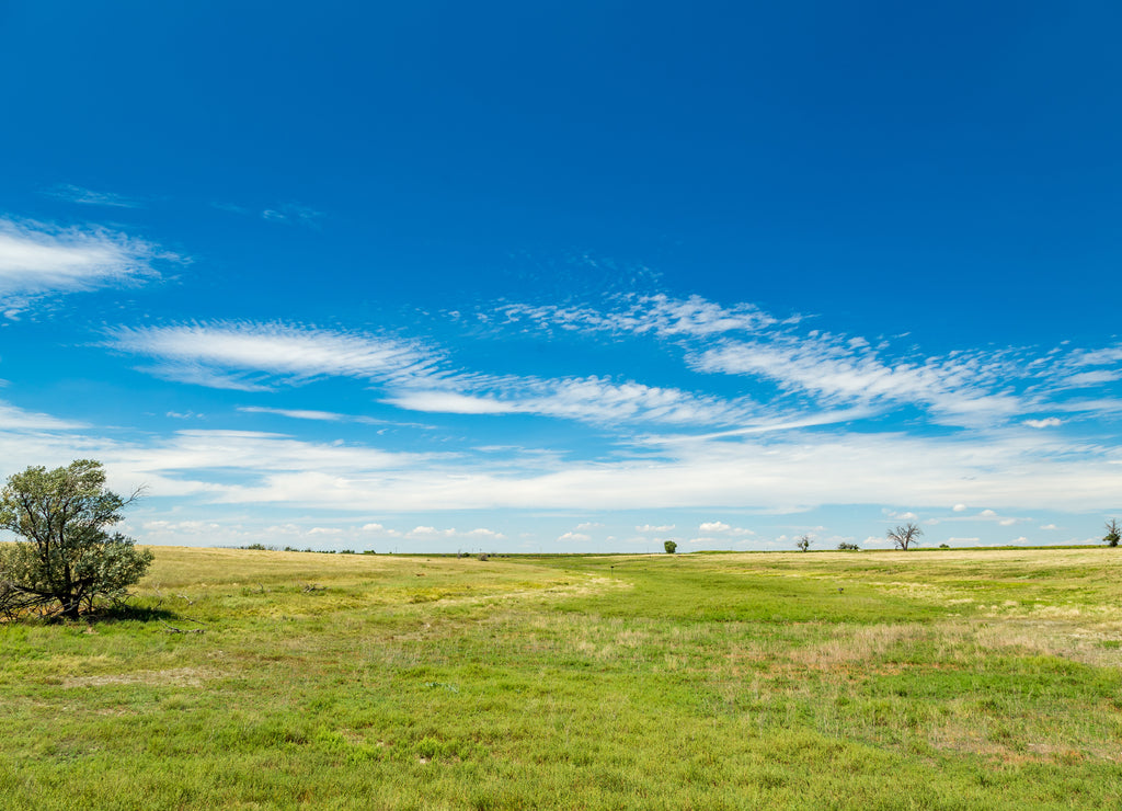 Santa Fe Trail Ruts, Kansas