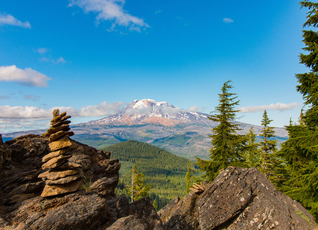 Mt Adams Washington in the Gifford Pinchot National Forest