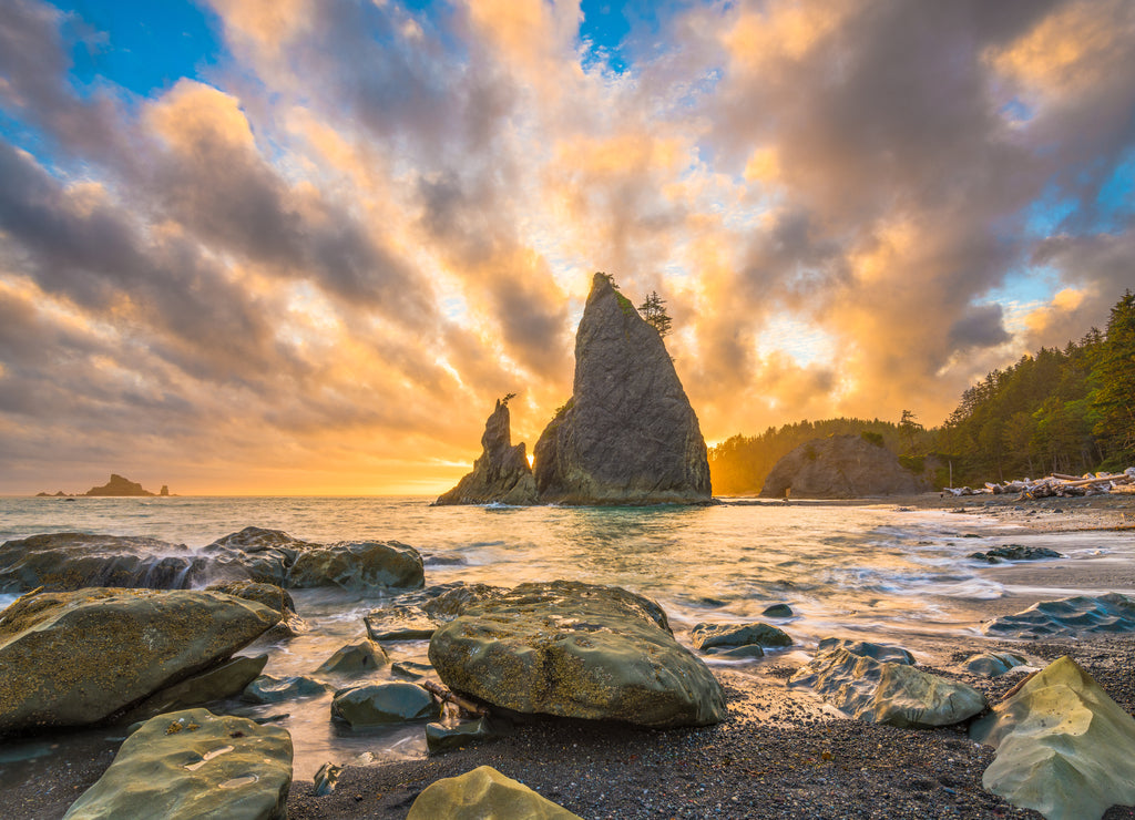 Olympic National Park, Washington, USA at Rialto Beach during sunset
