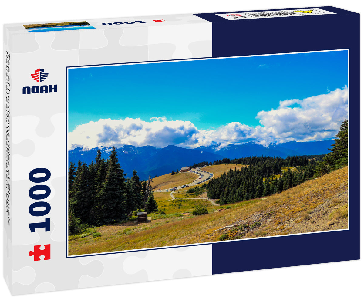 Top of hurricane ridge at Olympic National park, Washington, USA